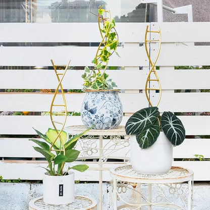 Plant Stakes for Indoor Plants,3 Pcs DNA Helix Metal Plant Trellis,Easy Installation and Durable Climbing Plant Holder,Potted Plant Holder Stakes for Garden,Yard,Balcony,Indoor & Outdoor Use