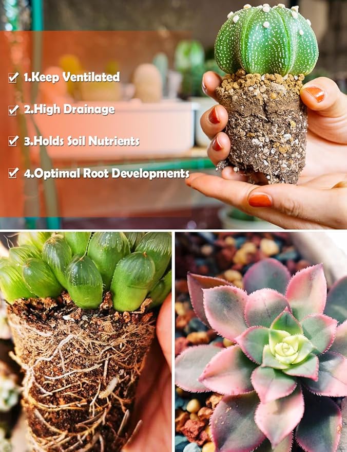 TOYPOPOR Succulent Soil, Cactus Potting Mix 12.5 Pounds/10QTS, High Drainage, Pre-Mixed Ready to Use for All Succulent Varieties, Indoor Plants, Bonsai, Terrarium, Houseplant, 30% Particles 70% Soil