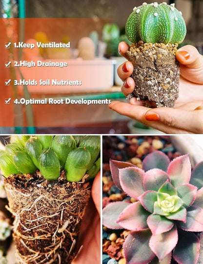 TOYPOPOR Succulent Soil, Cactus Potting Mix 12.5 Pounds/10QTS, High Drainage, Pre-Mixed Ready to Use for All Succulent Varieties, Indoor Plants, Bonsai, Terrarium, Houseplant, 30% Particles 70% Soil