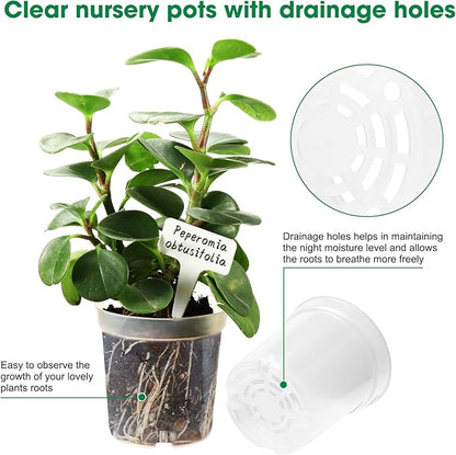 40 Pcs 4.3 Inch Clear Nursery Pots for Plants, Transparent Plastic Plant Pots with Drain Holes, Seed Starter Planter Container with 20 Plant Labels for Flowers Vegetable Seedlings