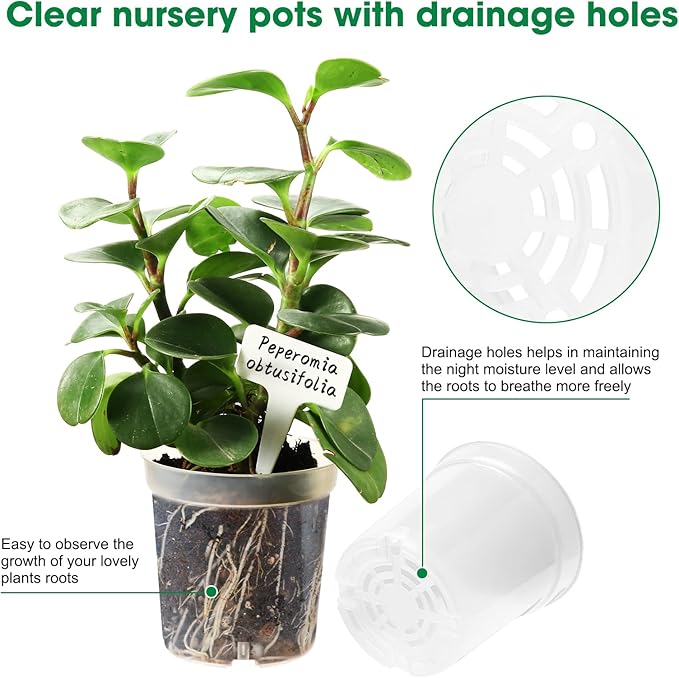 36 Packs 3.5/4/4.3 Inch Clear Nursery Pots for Plants Variety Pack, Transparent Plastic Plant Pots with Drain Holes, Seed Starting Pot Clear Planter Container with 20 Plant Labels for Gardening