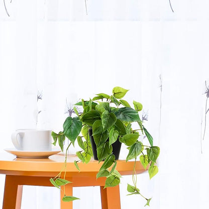 Artificial Scindapsus Aureus, Realistic Fake Plant with Plastic Pot for Home Office Garden Decoration 1 Pack(8in H)
