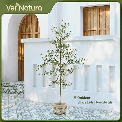 Artificial Black Olive Tree 6ft - Shady Lady UV Resistant Faux Olive Trees Indoor Outdoor Decor - Modern Aesthetic Tall Fake Plants with Pot for Home Office Living Room Patio Floor, VN140
