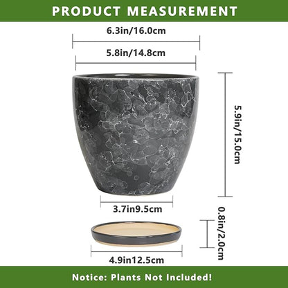 6.3 Inch Plant Pot - Ceramic Planter for Indoor with Drainage Hole and Saucer, Round Succulent Pot, Modern Flower Planters, Home Room Garden Office Decor, Gardening Gifts for Women, Grey