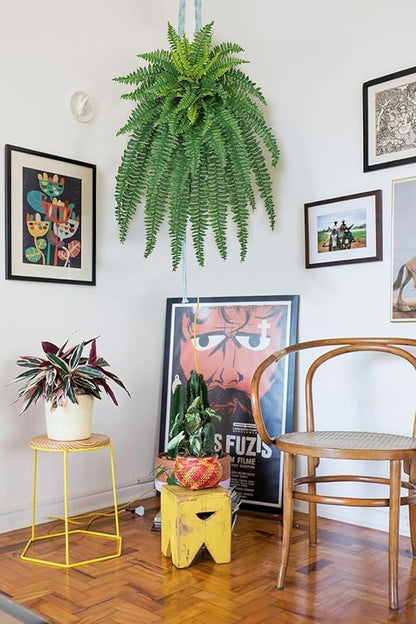 Ferns Fake Plants 50 Fronds Artificial Plants Outdoor 35" Long Fake Fern Look Real Large Plant Artificial Ferns Potted | Hanging Boston Fern | Fake Plant Shrubs for Home Garden Porch Farmhouse Decor
