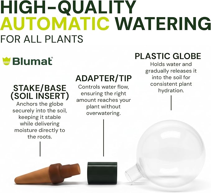 Blumat Clear Globe Single Pack - Automatic Watering Stake with a Beautiful Look for Indoor and Outdoor Plants