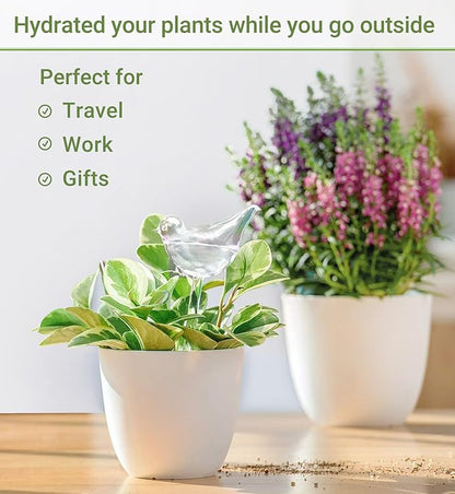 Mkono Plant Self Watering Globes Glass Water Bulbs for Planter Insert, Bird Shape Self Watering Devices Automatic Plant Waterer Spikes for Indoor Outdoor Plants, Gifts for Plant Lovers, 2 Pack