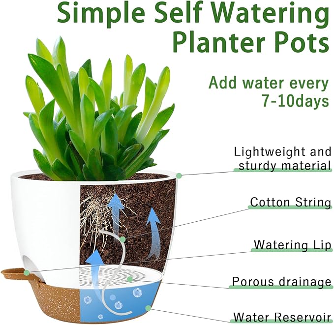 UUBEMM Self Watering Planters with Drainage Holes, Set of 3 Plastic Plant Pots with Deep Reservoir for Indoor Outdoor Garden Flowers Plants,10+9+8 Inch (White)