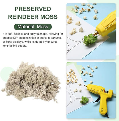 MECCANIXITY 4.6oz Preserved Reindeer Moss, Brown Decorative Artificial Fake Moss for Potted Plants Indoor Crafts Lichen Centerpieces Decor