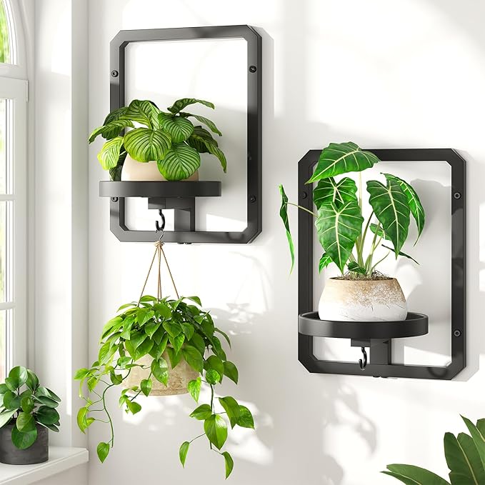 LASZOLA 2 Pcs Black Wall Mount Plant Shelves with Hangers for Indoor Flower, Heavy Duty Metal Window Floating Planter Holders Stand, Modern Iron Picture Frame with Hook Decorative for Kitchen Bathroom