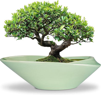 Ceramic Bonsai Pot - 18 Inch Planter with Drainage Hole Large Modern Bonsai Planter Decorative Succulent Flower Plant Pot for Indoor Plants Outdoor Green