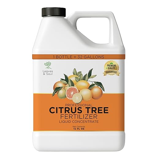 Leaves and Soul Professional Citrus Tree Fertilizer Liquid Concentrate - 6-4-6 Blend for Fruit Tree Fertilizer, Garden - Liquid Plant Food for Citrus Trees in Pots or Outdoors - 32oz