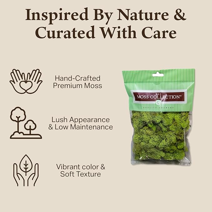 Quality Growers - Preserved Reindeer Moss - Moss for Crafts, Home Decor, Art, Design & DIY Projects - Non-Toxic - USA Made (Chartreuse, Small, 2-Pack)