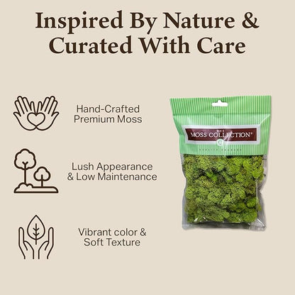 Quality Growers - Preserved Reindeer Moss - Moss for Crafts, Home Decor, Art, Design & DIY Projects - Non-Toxic - USA Made (Chartreuse, Small, 2-Pack)