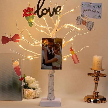 Money Tree Gift Card Holder 24 LED Birch Twig Treelights Battery/USB Powered Light Up Display Twig Gift Card Holder with 22 Clear Clips for Graduation Birthday Wedding Photo (Warm Color)