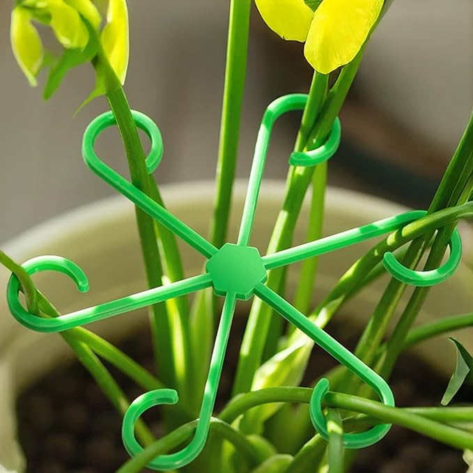 12Pcs Plant Stem Supports, Reusable Plastic Plant Accessories Indoor, Monstera Plant Support for Climbing Houseplants, Stakes Trellis Stem Hook Growth Tools for Neat Garden Arrangement(Green)