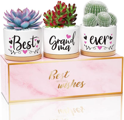 Christmas Grandma Gifts Best Gifts for Grandma from Grandchildren Granddaughter, Best Grandma Ever Succulent Pots for Plants Indoor Ceramic Planter, Gift Boxed Cute Grandma Birthday Thanksgiving Gifts