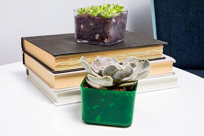 rePotme Cactus and Succulent Potting Soil Mix, Hand Blended in The USA - All Purpose Imperial Blend - Mini Bag (2 Quarts)