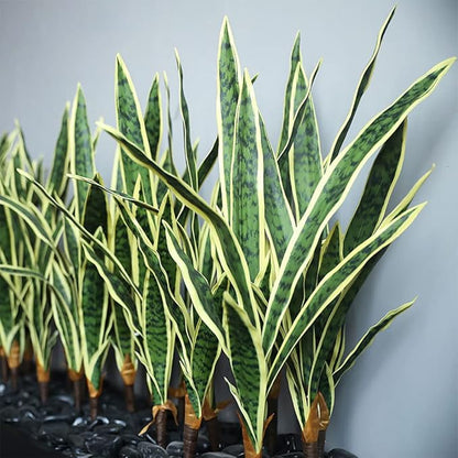 Artificial Snake Plant 4 Pcs 30 Inch Fake Sansevieria Plants for Indoor/Outdoor Home Decor Garden Office Store Decoration (Yellow and Green)
