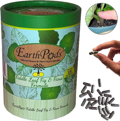 EarthPods® Fiddle Leaf Fig Plant Food Spikes – 100 Organic Fertilizer Capsules for Monstera, Ficus, Rubber Tree, Dracaena, Pothos, Calathea - Made in USA
