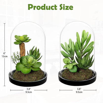 Set of 2 Artificial Succulents Plants in Glass Dome with Featuring Sand Moss, Small Fake Aloe Succulents Plants Faux Plants Indoor Decor for Home Office Table Desk Shelf Room Hostess Gift