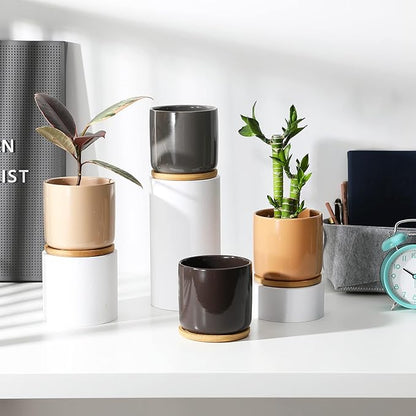 4 Inch Ceramic Cylinder Plant Pots with Drainage Holes and Saucers, Glazed Small Planter for Indoor Plants, Succulent, Cactus, Herbs, Multicolor, Set of 4 (Plant Not Included)