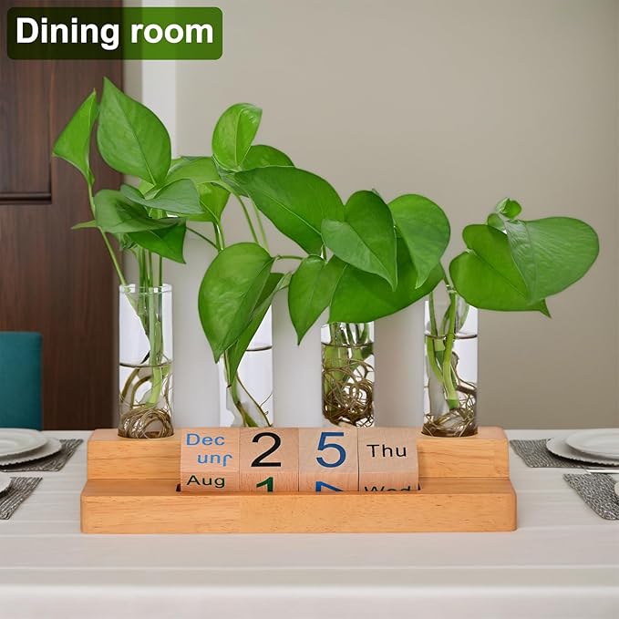 Plant Propagation Station with Block Calendar for Desk, Double-Layer Stand Design, More Stable Placement, Perfect Gardening Gifts for Plant Lovers Women (Dark Wood Color)