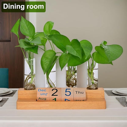 Plant Propagation Station with Block Calendar for Desk, Double-Layer Stand Design, More Stable Placement, Perfect Gardening Gifts for Plant Lovers Women (Dark Wood Color)