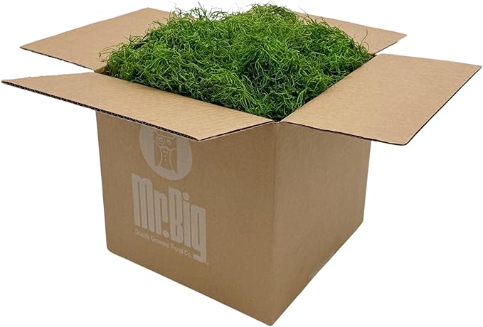 Preserved Spanish Moss - Decorative Moss - Dried Moss for Crafts, Home Decor, Art, Design & DIY Projects - for Indoor Use - Green Apple - Standard Box - Covers 10-12 sq. ft.