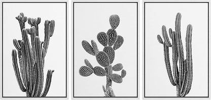 Ashbrook Framed Wall Art Print Set Black & White Southwest Desert Cactus Nature Floral Photography Modern Decorative Multicolor Relax/Calm for Living Room, Bedroom, Office - 16"x24"x3 White