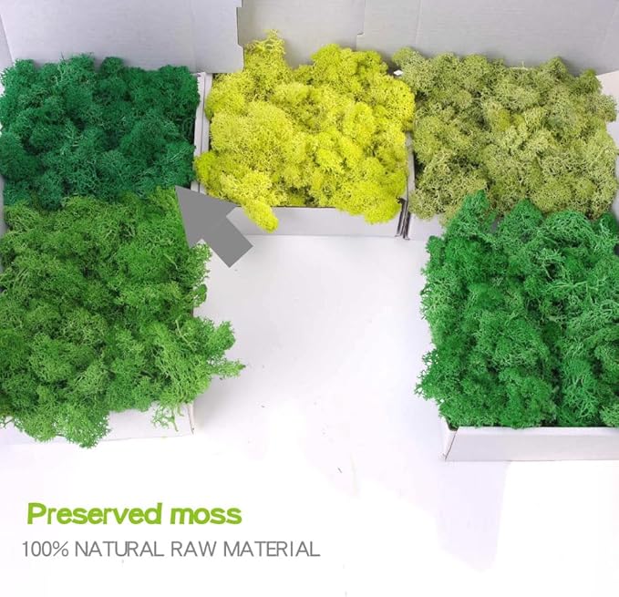 Preserved Moss-3.5 OZ Moss for Crafts Faux Moss Decor Natural Green Moss for Art Wall Florist Decor(Turquoise 3.5 OZ)