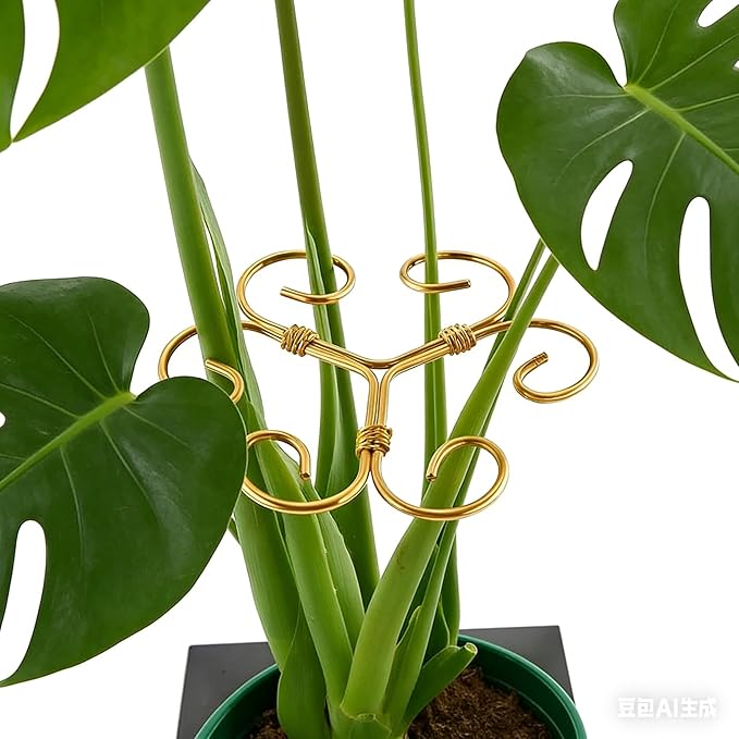 4PCS Iron Monstera Support - 4.1IN Plant Support Stakes for Indoor Plants, Stable Plant Stakes and Supports, Ideal Plant Support for Turtle Shell Bamboo & Houseplants (B)