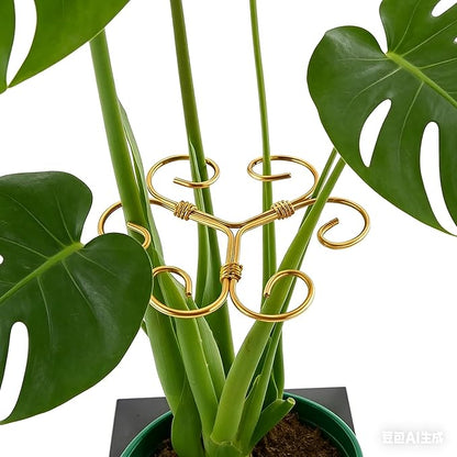 YAPROMO 4PCS Iron Monstera Support Stakes - 4.1IN Indoor Plant Stabilizer Clamps, Prevents Falling for Turtle Shell Bamboo & Houseplants (A)