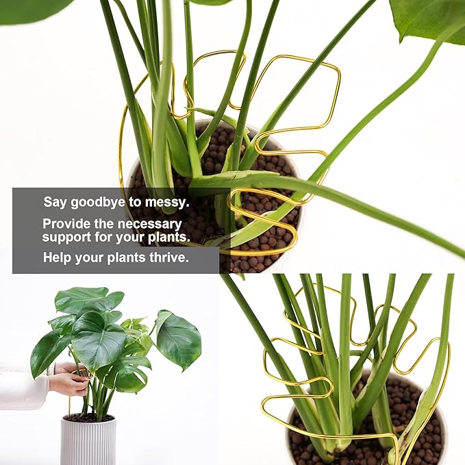 2 PCS Monstera Plant Support, Gold Monstera Stabilizer Grapple Holder, Unique Design for Turtle Shell Bamboo Clamp Set, Ideal Plant Stem Support Ring Stakes for Indoor Outdoor Climbing Plant