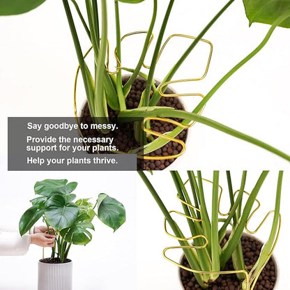 2 PCS Monstera Plant Support, Gold Monstera Stabilizer Grapple Holder, Unique Design for Turtle Shell Bamboo Clamp Set, Ideal Plant Stem Support Ring Stakes for Indoor Outdoor Climbing Plant