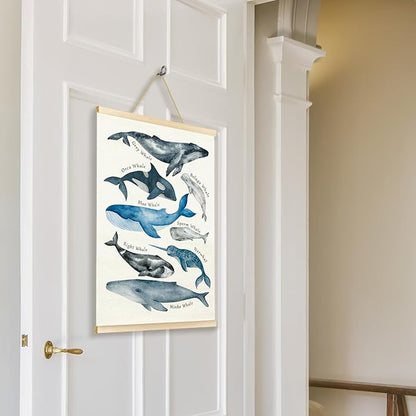 TAEDIN Whales Ocean Animal Chart Poster Hanger Frame, Whales Nautical Wall decor Educational Wooden Canvas Print, Sea Life Beach Wall Decor Painting for Classroom Nursery Bedroom Teen Room 12X16