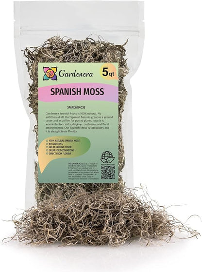 Gardenera Premium Natural Spanish Moss | Natural Preserved - Great Ground Cover - Filler for Potted Plants - 5 Quart Bag