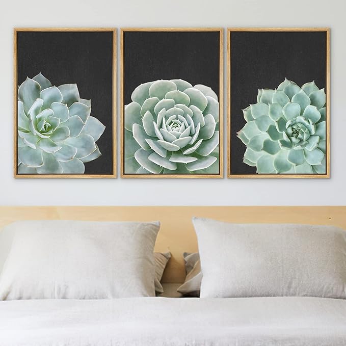 Ashbrook Framed Canvas Print Wall Art Set Green Desert Rose Cactus Succulents Nature Wilderness Photography Modern Art Minimal Chic Colorful for Living Room, Bedroom, Office - 16"x24"x3 Natural