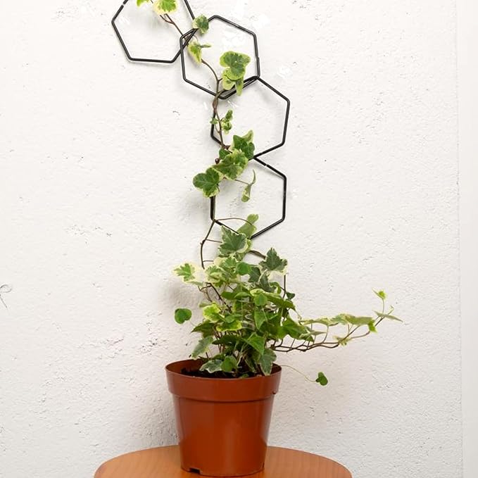 17PCSMetal Hanging Trellis for Pothos Plant Climbing Support | Vine Wall Lattice for Indoor and Outdoor Garden | House Accessories for Climbing Plants | Small Metal Trellis for Lattice Support