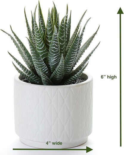 Artificial Succulent Plant in Matte White Ceramic Pot | 6.5" high Dark Green Aloe Plant | Great as desk decor or bathroom decor | beautiful realistic faux succulent with no maintenance