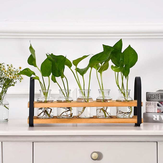 Plant Propagation Station with Wood Stand, Desktop Terrarium for Hydroponic, Flower Vase for Home, Kitchen, Office Decor, Plants Lover Gifts