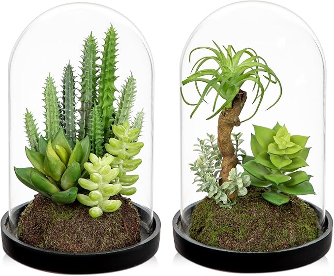 Set of 2 Artificial Succulents Plants in Glass Dome with Featuring Sand Moss, Small Fake Cactus Plants Faux Plants Indoor Decor for Home Office Table Desk Shelf Room Hostess Gift