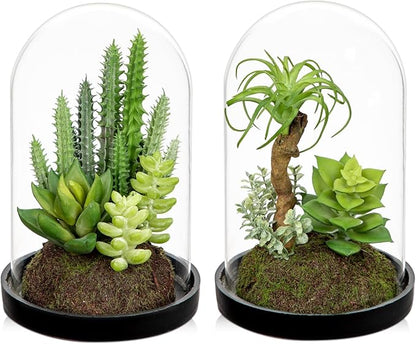 Set of 2 Artificial Succulents Plants in Glass Dome with Featuring Sand Moss, Small Fake Cactus Plants Faux Plants Indoor Decor for Home Office Table Desk Shelf Room Hostess Gift
