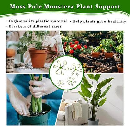 16Pcs 4 Sizes Plant Stem Support, Climbing Houseplant Stem Holders, Reusable Plant Stabilizer for Indoor Plants Accessories