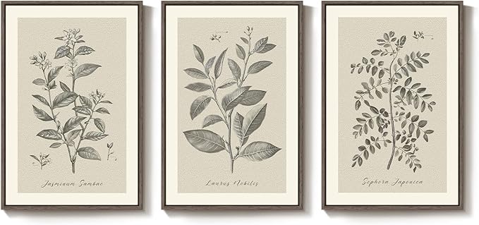 Framed Vintage Botanical Wall Art, 3 Piece Neutral Floral Plants Canvas Painting Prints Artwork for Living Room, Rustic Flowers Pictures for Farmhouse Bedroom Kitchen Dining Room Home Decor, 16x24