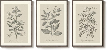 Framed Vintage Botanical Wall Art, 3 Piece Neutral Floral Plants Canvas Painting Prints Artwork for Living Room, Rustic Flowers Pictures for Farmhouse Bedroom Kitchen Dining Room Home Decor, 16x24