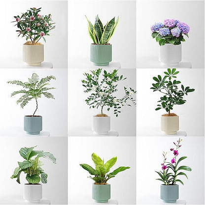 Ceramic 4.9+6.3 inch Planters, Modern Home and Office Flowerpot, Indoor and Outdoor Flowerpot with Drainage Hole (White)