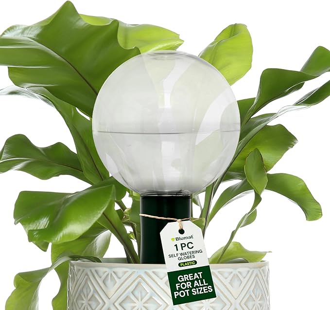 Blumat Clear Globe Single Pack - Automatic Watering Stake with a Beautiful Look for Indoor and Outdoor Plants