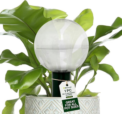 Blumat Clear Globe Single Pack - Automatic Watering Stake with a Beautiful Look for Indoor and Outdoor Plants