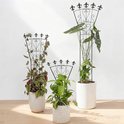 Heavy Duty Indoor Trellis for Climbing Plants Set of 3 – 31x12 Inches Premium Iron Plant Support for Garden, Balcony, and Indoor Spaces – Perfect for Monstera and Other Houseplants